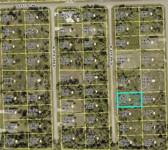 6006 Tena Ave N, Lehigh Acres, Florida 33971