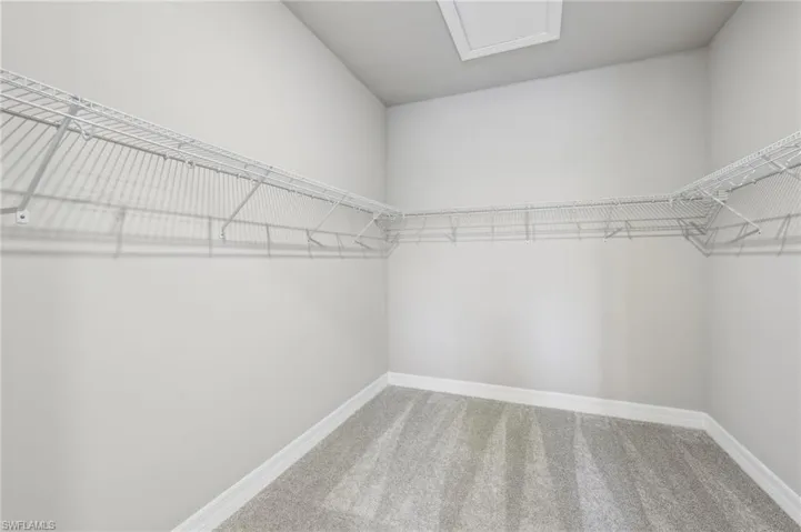 Walk in closet with carpet