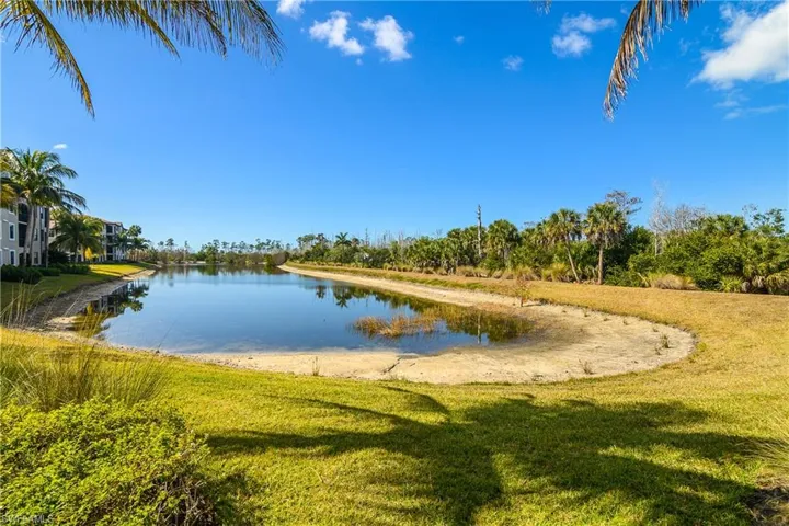 Backyard View