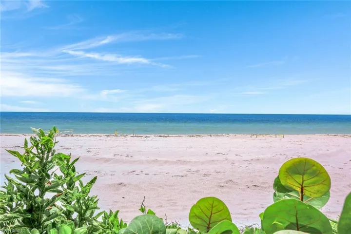Beautiful Park Shore Beach