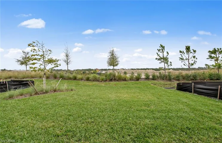 Spacious backyard