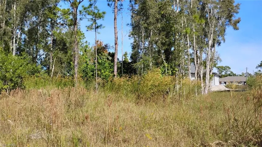 View of undeveloped land