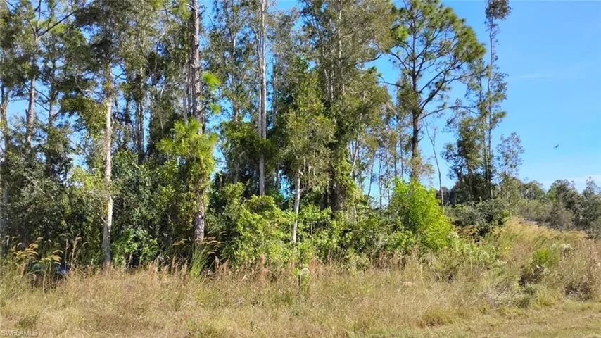 View of undeveloped land