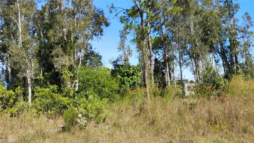 View of undeveloped land