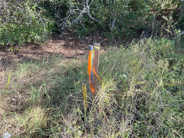 Southwest corner survey marker along road.