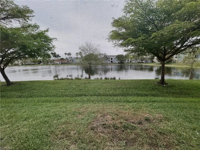 Water view