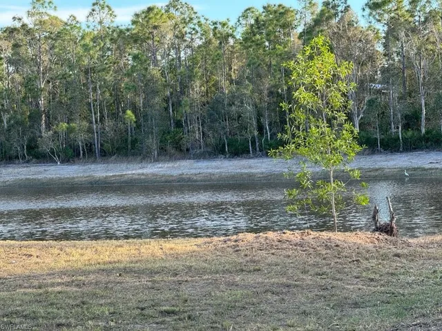 RARE Lake View - Southern Rear Exposure