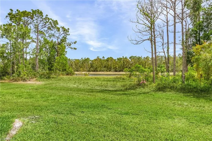 Back yard, view of lake, you can plant flowers within the barked area.