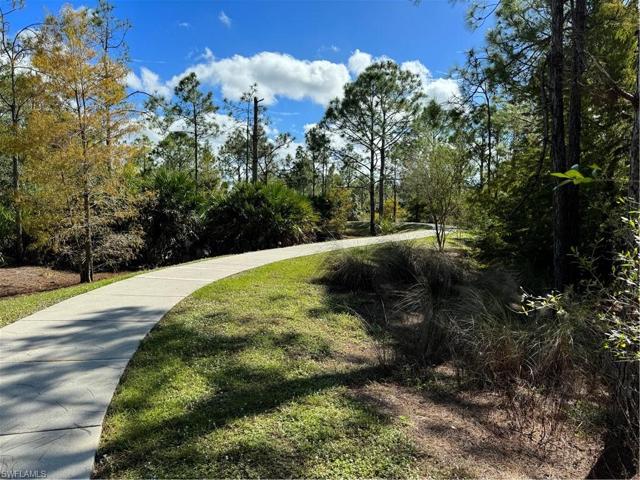 Private Path To Pebblebrook Shopping Plaza