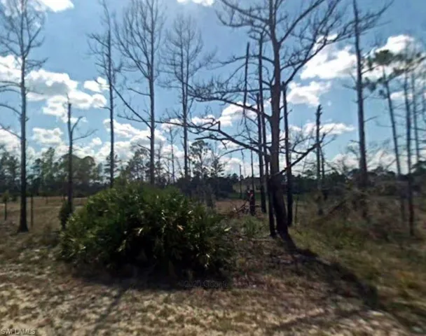 1017 Grant Ave, Lehigh Acres, Florida 33972