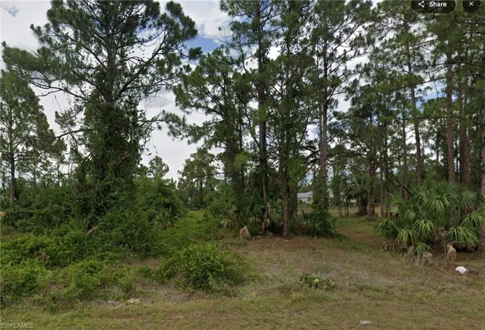 View of undeveloped land