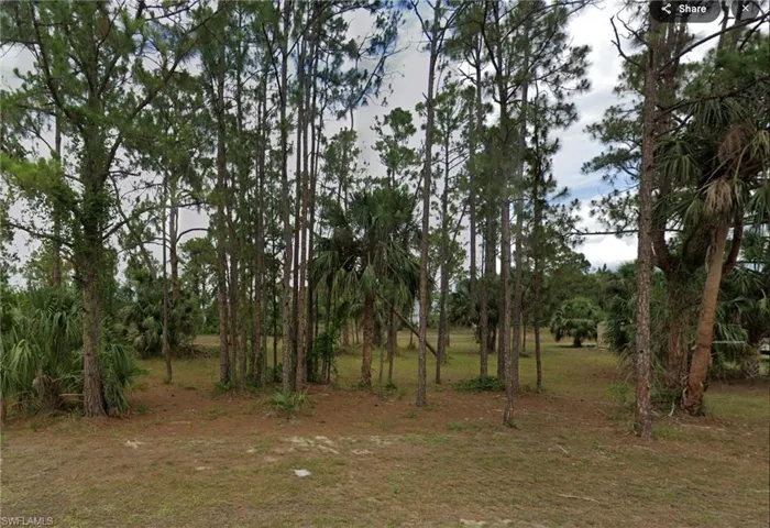 View of nature