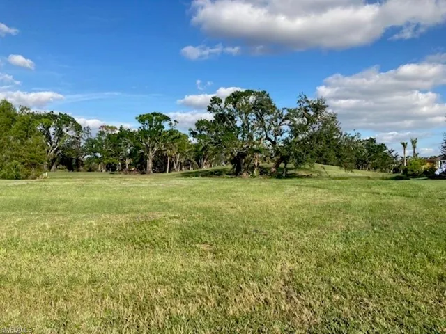 Cleared, Oversized almost 1/3 acre lot for large home, 3-4 car garage, play area, store boat and many other options. Lot backs up to wooded area on City's Coral Oaks Golf course for privacy and gorgeous view!