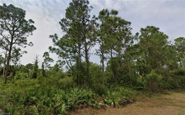 1114 Eclipse St E, Lehigh Acres, Florida 33974