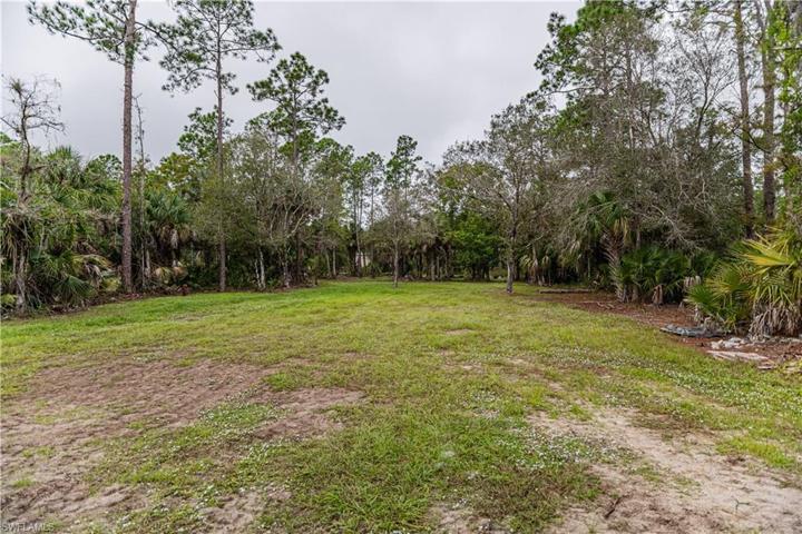 Back area behind Pole Barn