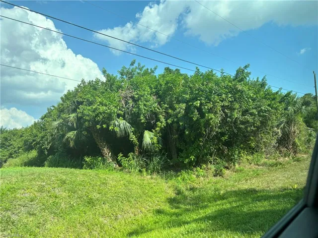 View of nature