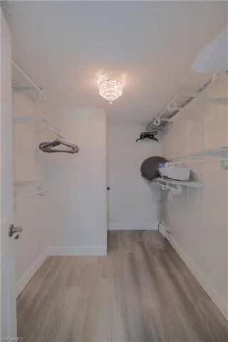 Spacious closet with hardwood / wood-style floors