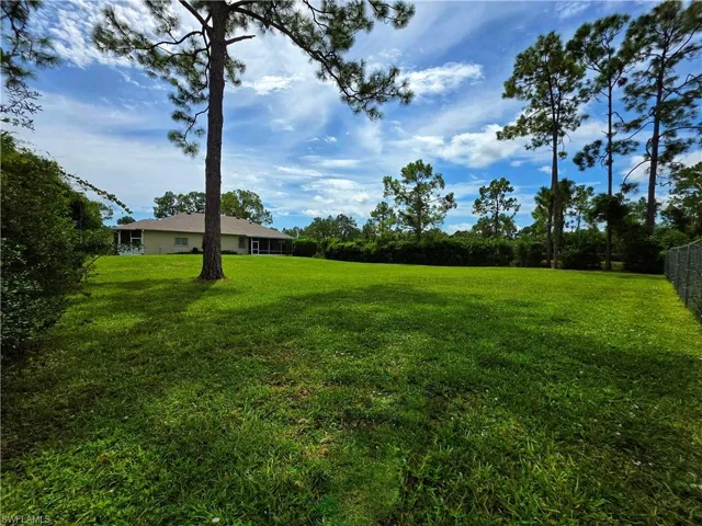 View of green lawn