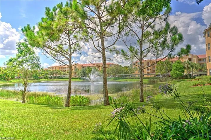 Water view
