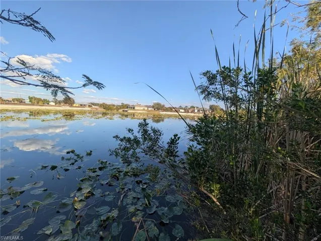 Water view