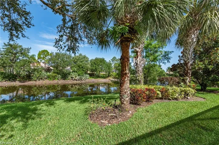 28864 Yellow Fin Trail Bonita Springs FL 34135 - Backyard