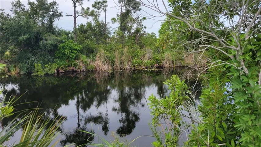 Natural waterfront featuring mature trees and lush vegetation