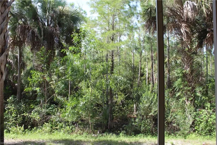 View of local wilderness