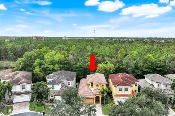 Aerial perspective of suburban area featuring a forest
