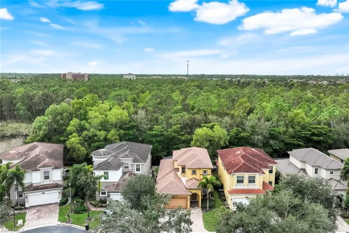 Aerial perspective of suburban area with a forest