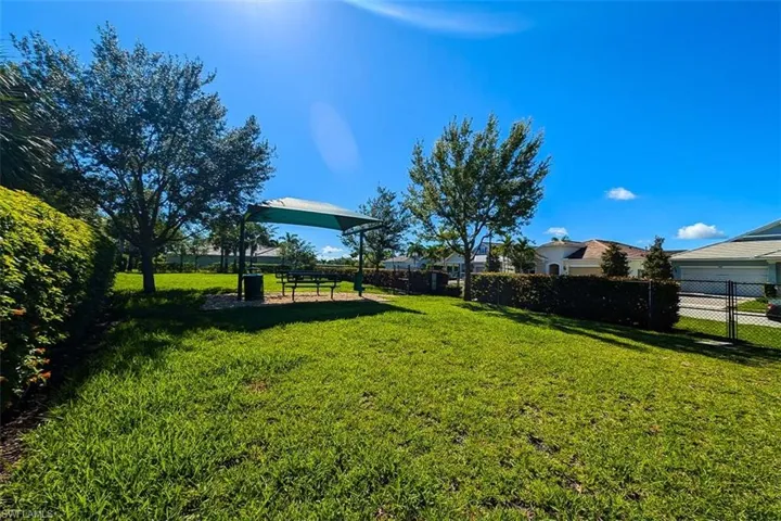 Dog Park