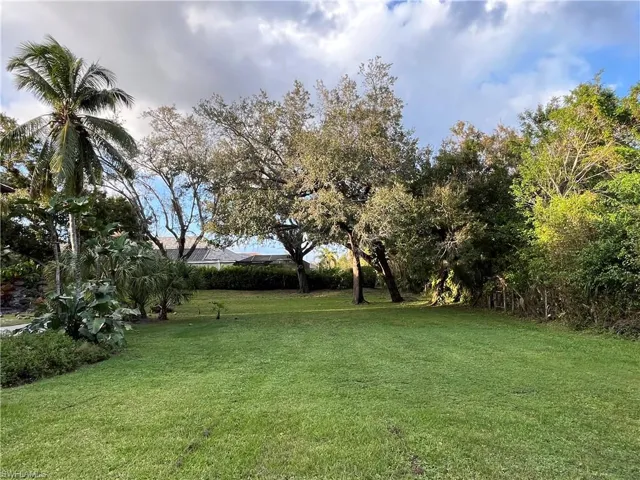 Large lot