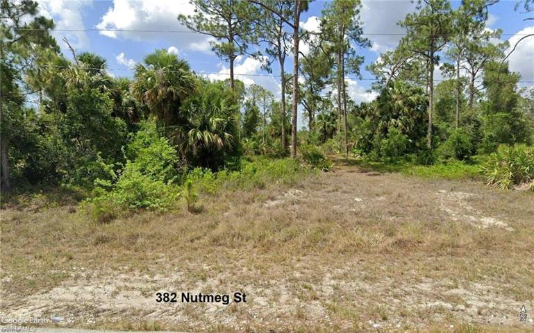 382 Nutmeg ST, LEHIGH ACRES FL 33972