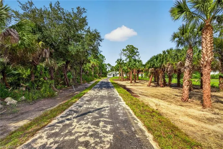 Paved drive with surrounding natural landscaping and mature palm trees