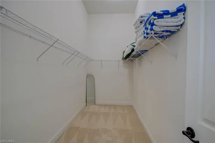 Spacious closet with light carpet