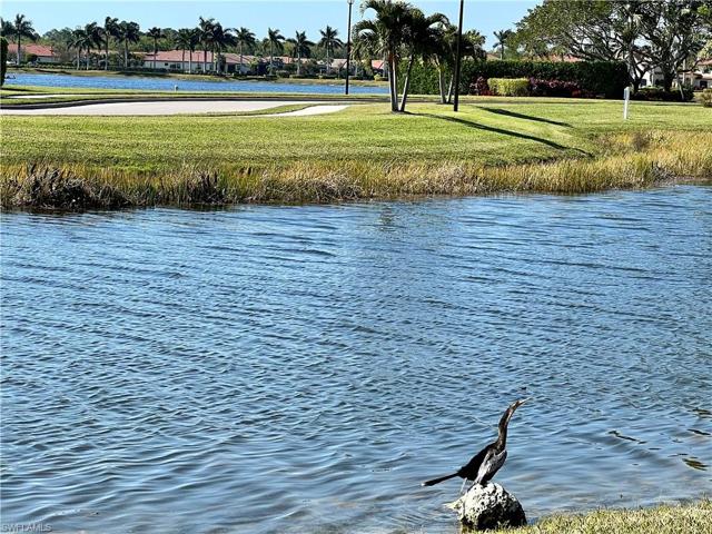 Peaceful wildlife!