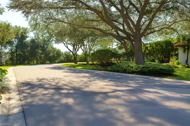 GameHawk road - lovely tree lined street