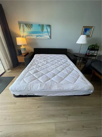 Full Pullout Sofa in Living room