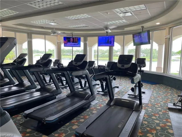 Workout area featuring a raised ceiling, a healthy amount of sunlight, carpet flooring, and a drop ceiling