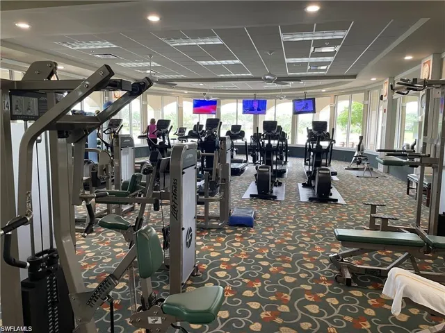 Gym with a drop ceiling, a wealth of natural light, and carpet flooring