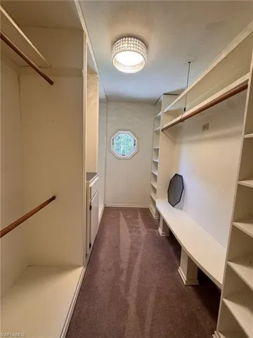 Spacious closet featuring dark colored carpet