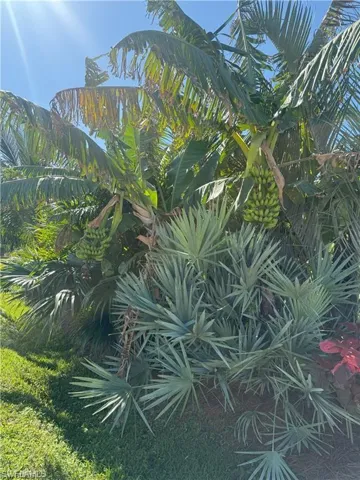 Radiant garden aspect