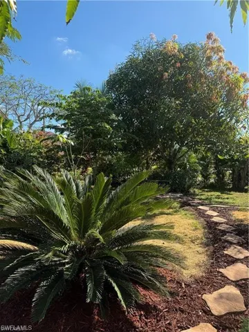 Lovely garden panorama