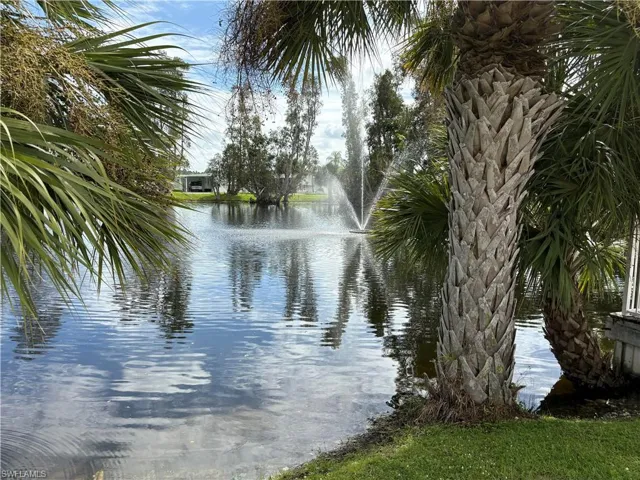 Water view