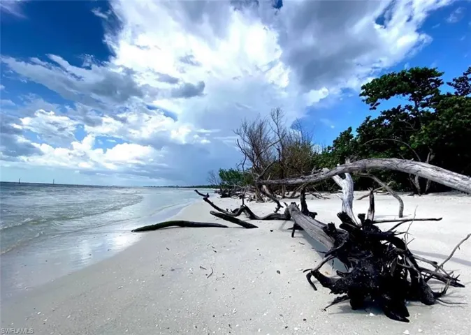 Natural beauty at Wiggins Pass and Bluebill beach is unmatched
