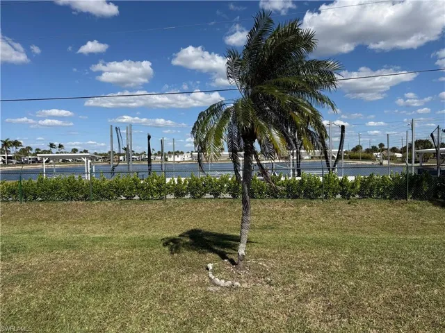 View from Patio