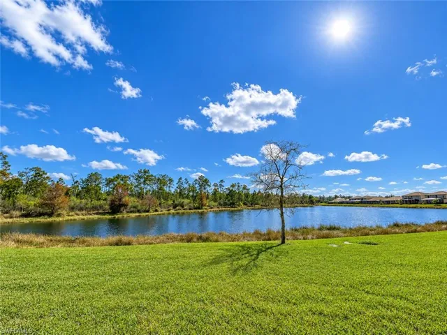 Expansive grassy area with a lone tree, overlooking a large body of water bordered by natural foliage