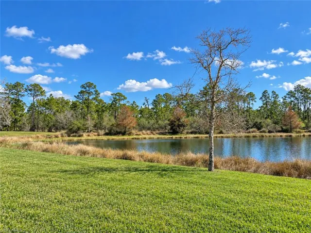 Grassy expanse bordering a body of water with natural vegetation