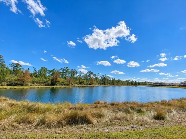 Expansive water feature bordered by natural landscaping and mature trees