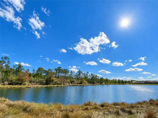 Expansive tranquil lake with natural shoreline and lush tree line