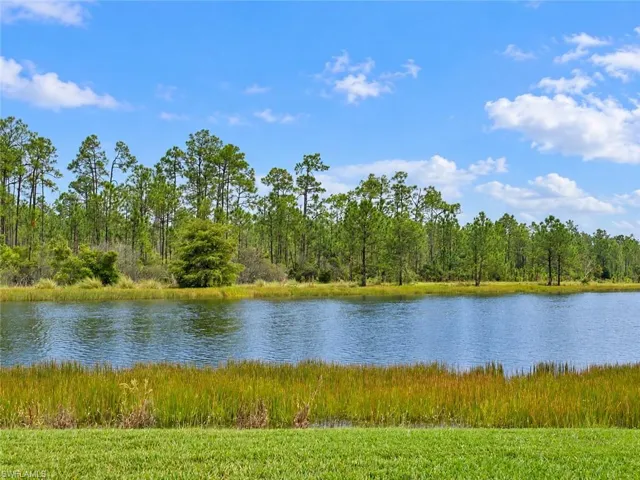 Expansive water feature bordered by natural grasses and a dense tree line